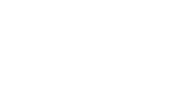Projekt: BUNGERT