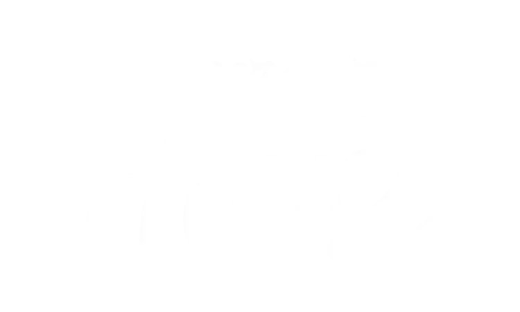 Projekt: Burger House