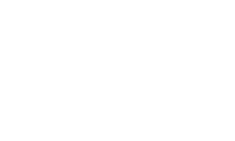 Projekt: Kingston