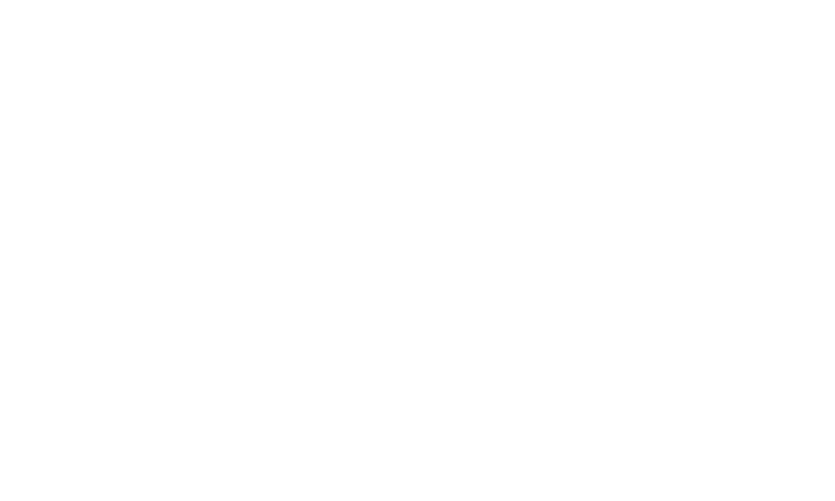 Projekt: LG