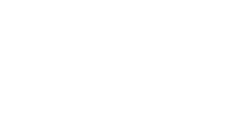 Projekt: Lions Club
