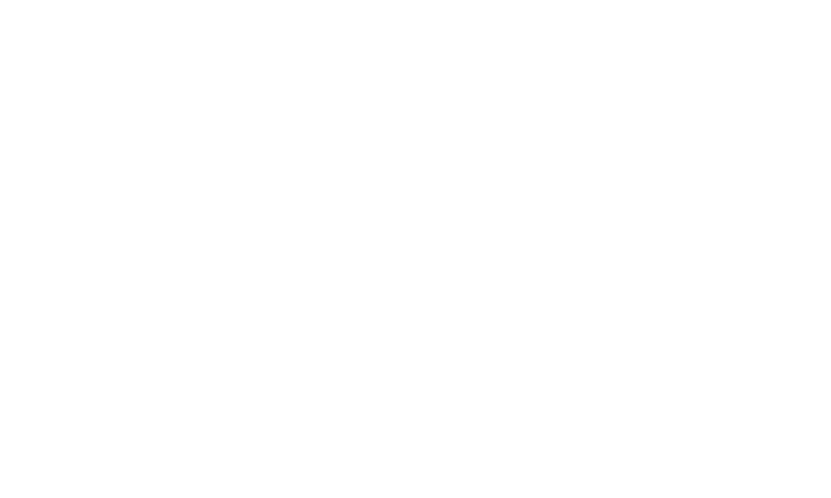Projekt: SoftExpress