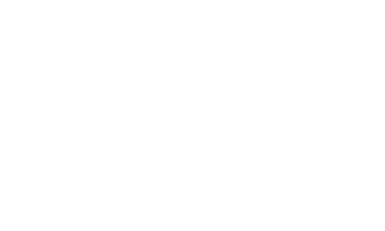 Projekt: Warsteiner